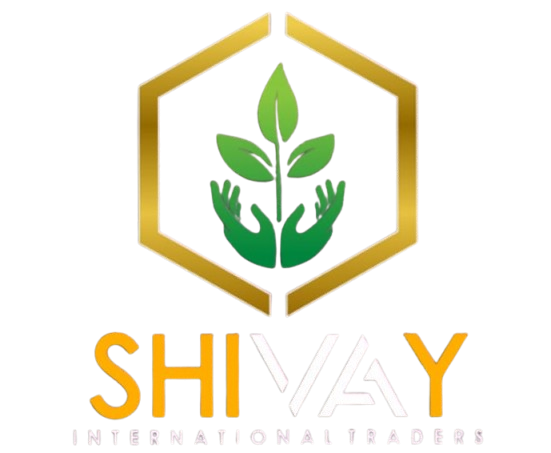 Shivay International Traders